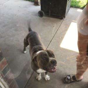 Meet your Posher, Bianca